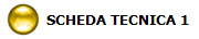 SCHEDA TECNICA 1